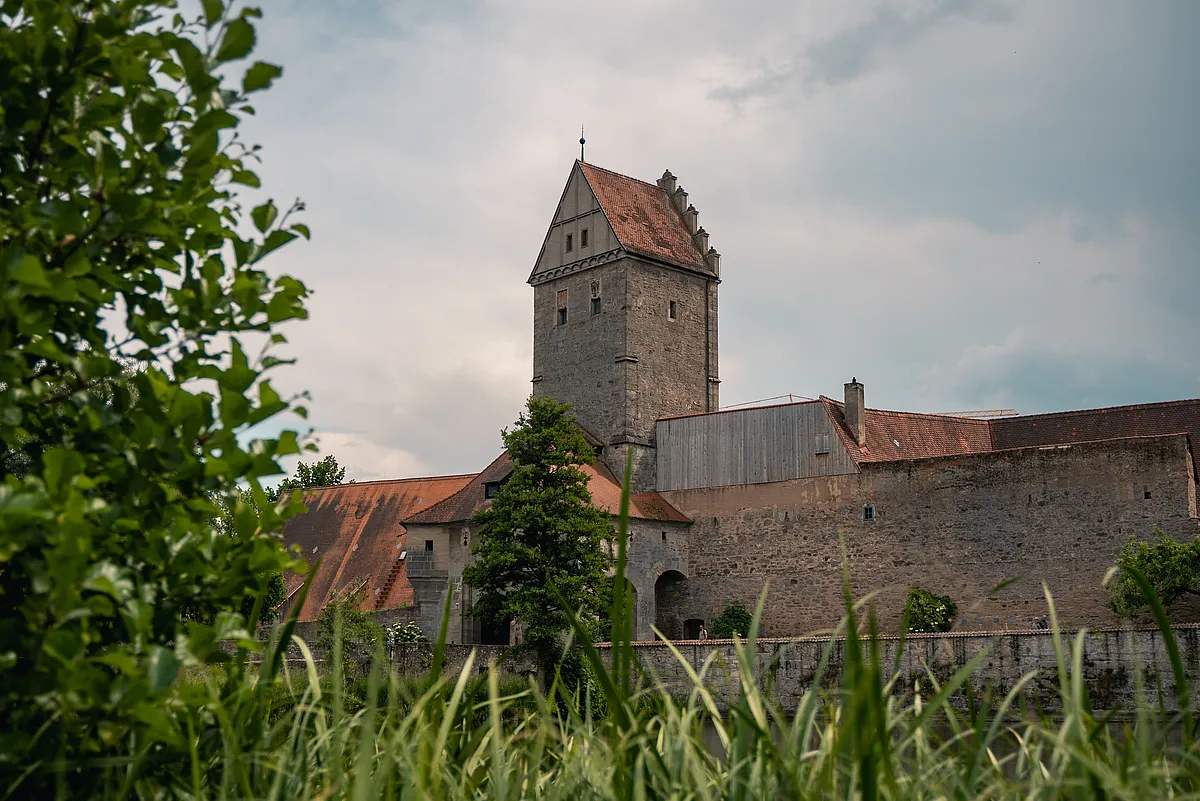 Mittelalterlicher Turm mit steilem Ziegeldach und angrenzender Stadtmauer in Dinkelsbühl, davor hohes Gras