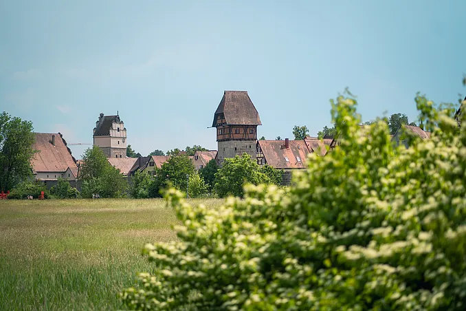 Blick über eine Wiese auf Dächer und Türme der Altstadt, darunter ein Turm mit Fachwerkaufsatz, rechts ein blühender Strauch