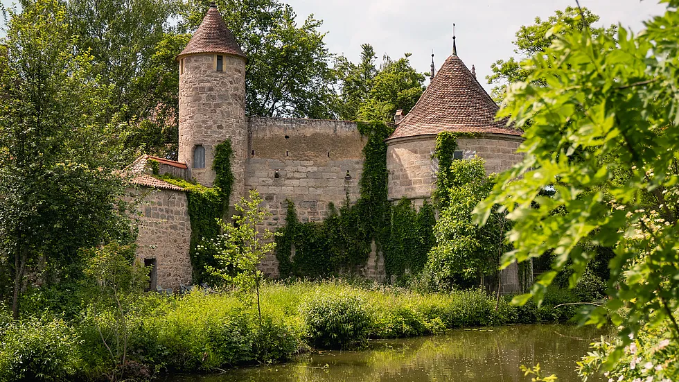 Efeubewachsene Stadtmauer von Dinkelsbühl mit zwei runden Türmen hinter Bäumen am Wasser