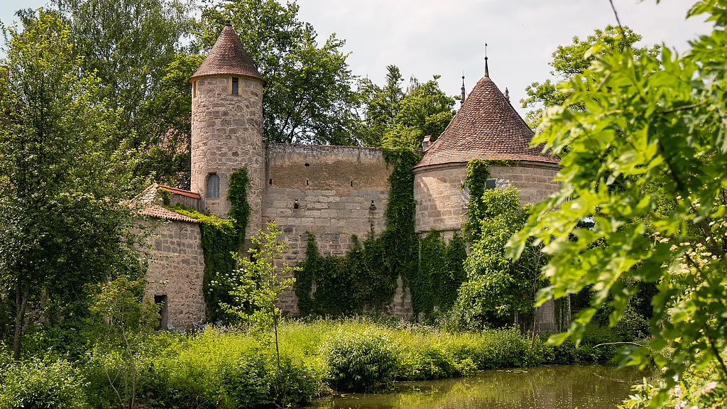 Efeubewachsene Stadtmauer von Dinkelsbühl mit zwei runden Türmen hinter Bäumen am Wasser