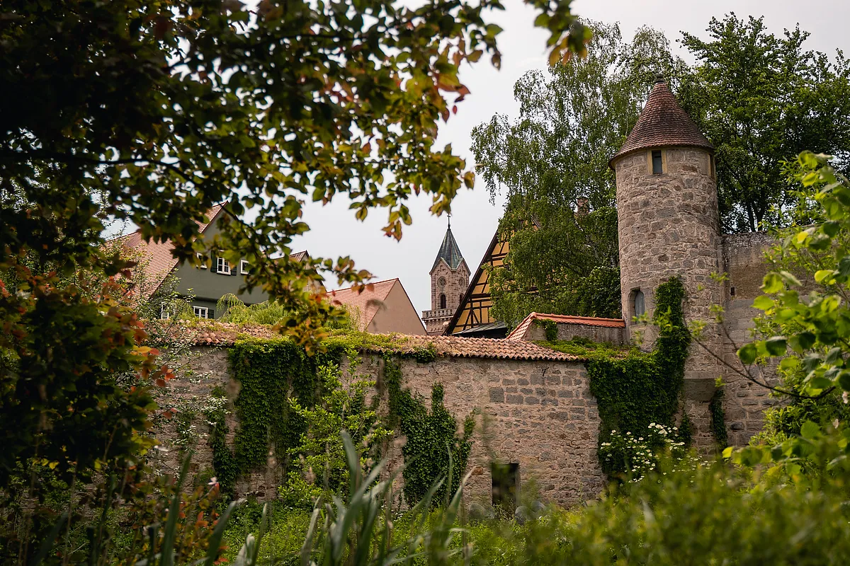 Efeubewachsene Stadtmauer von Dinkelsbühl mit rundem Turm, dahinter Fachwerkgiebel und ein spitzer Turm