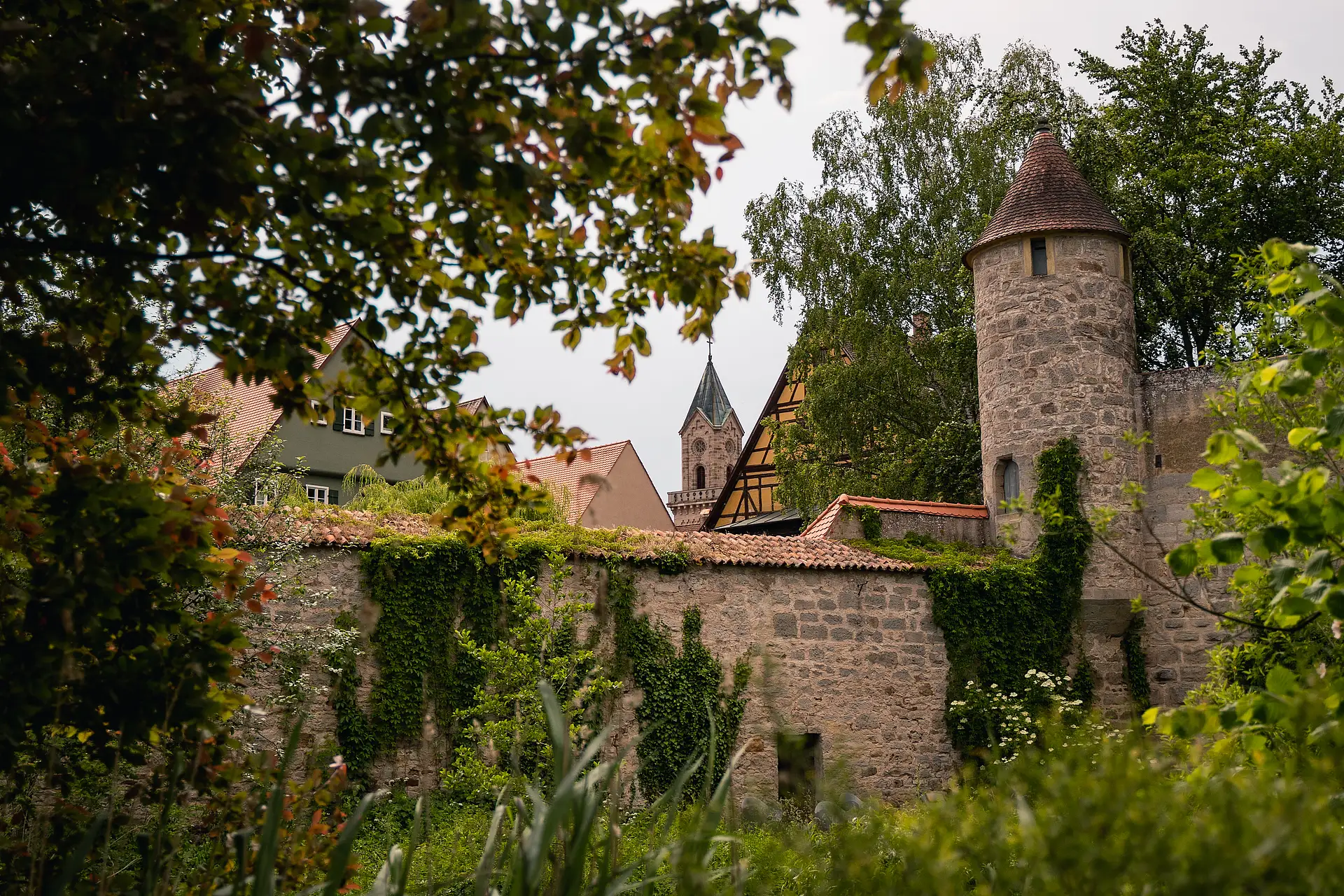 Efeubewachsene Stadtmauer von Dinkelsbühl mit rundem Turm, dahinter Fachwerkgiebel und ein spitzer Turm