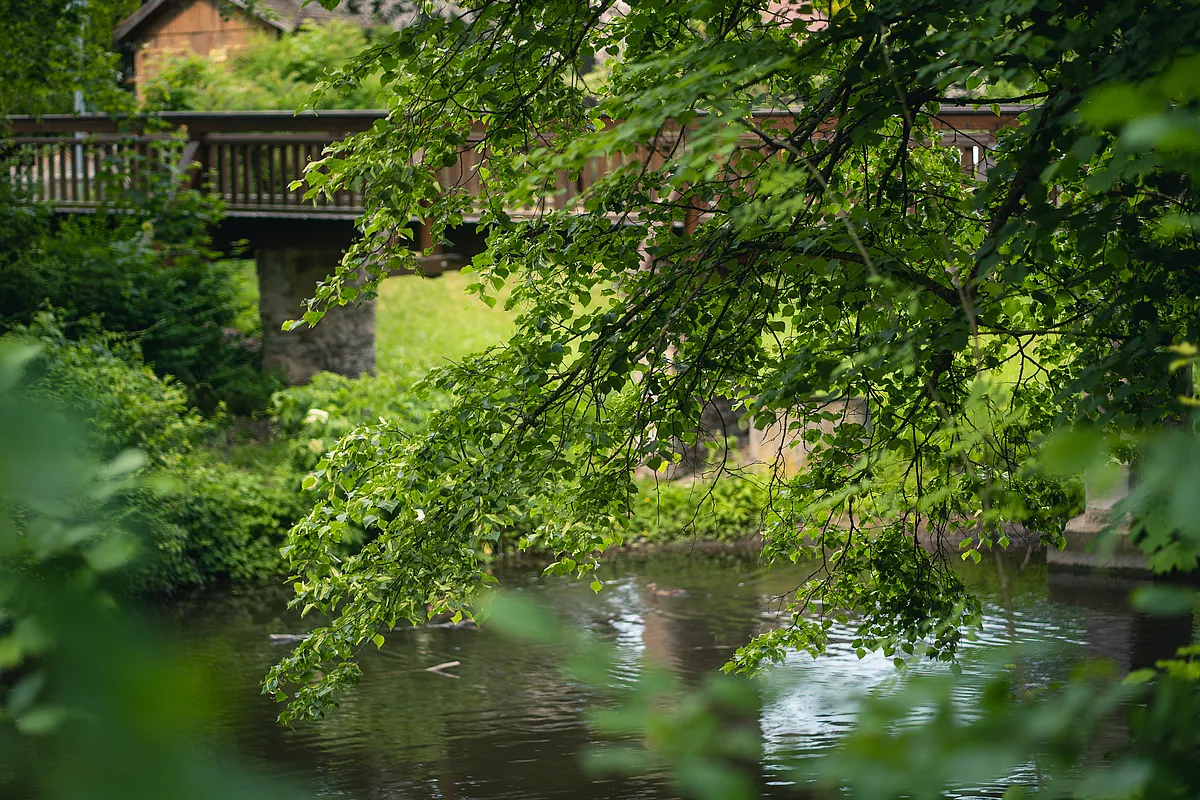 Brücke mit Holzgeländer und Steinpfeiler über einem Wasserlauf, davor überhängende Zweige mit frischem Laub