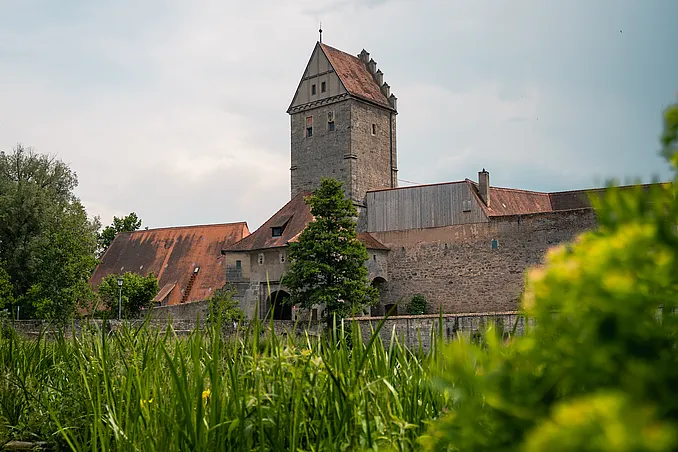 Stadtmauer mit Torturm, Staffelgiebel und angrenzenden Gebäuden unter bewölktem Himmel, davor hohes Gras und ein Nadelbaum