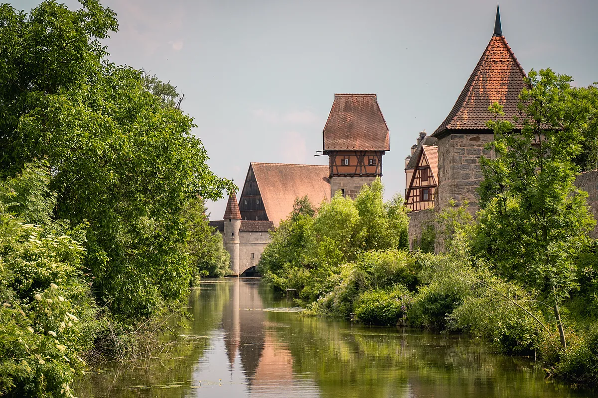 Türme der Dinkelsbühler Stadtbefestigung spiegeln sich im Wasser zwischen grünen Bäumen und Büschen
