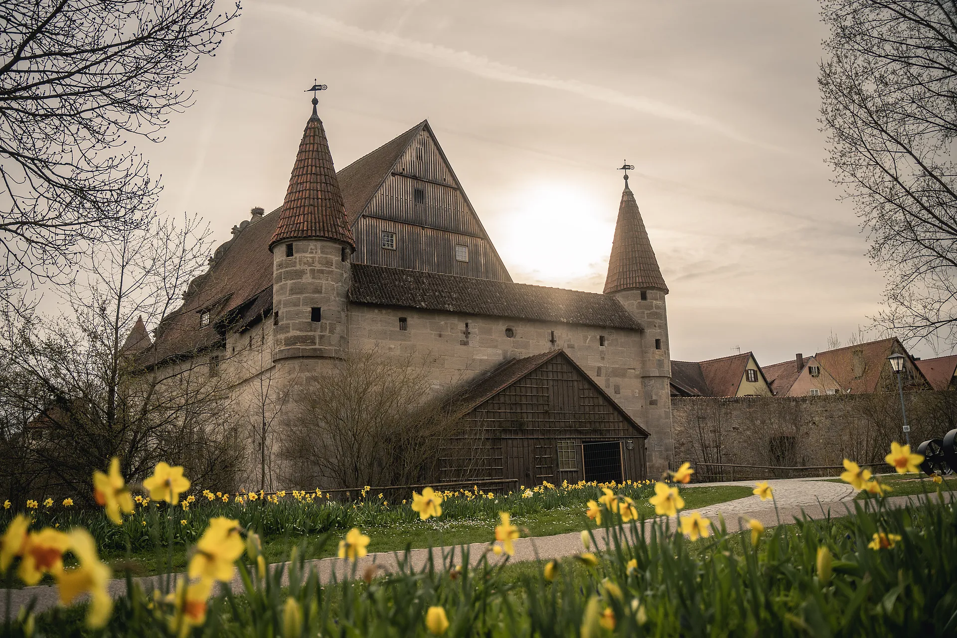Historisches Gebäude mit zwei runden Ecktürmen und Spitzdächern im Gegenlicht, davor blühende Osterglocken