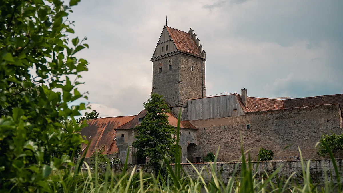 Torturm mit Staffelgiebel und Ziegeldach an der Stadtmauer von Dinkelsbühl, eingerahmt von Laub und hohem Gras