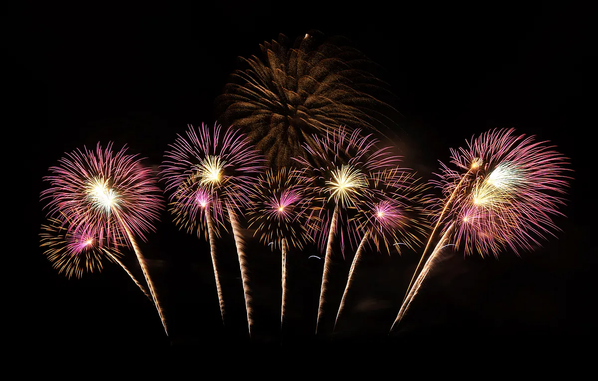 Buntes Feuerwerk in Rosa, Violett und Gold am schwarzen Nachthimmel